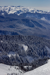 Similar image 21785273