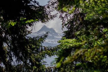 Similar image 21785276