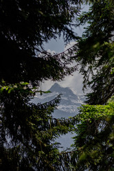 Similar image 21785280