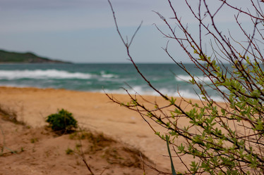 Similar image 21785281