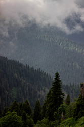 Similar image 21785284