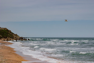 Similar image 21785287