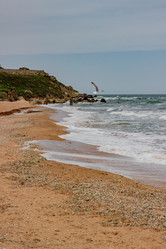 Similar image 21785288