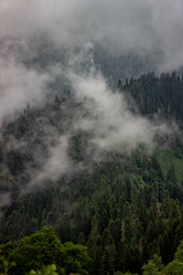 Similar image 21785290