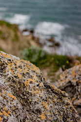 Similar image 21785295