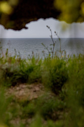 Similar image 21785297