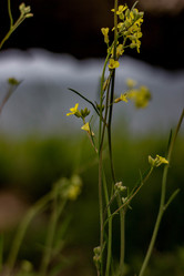 Similar image 21785298