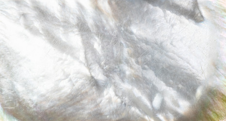 Similar image 21783131