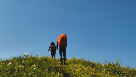 Similar image 21785928