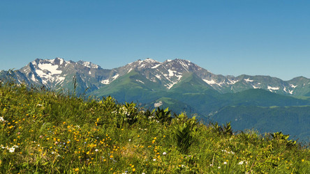 Similar image 21785446