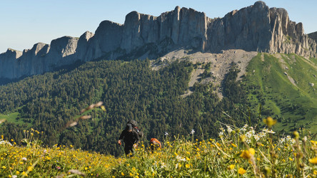 Similar image 21785929