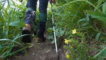 Similar image 21785479