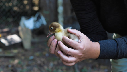 Similar image 21785484