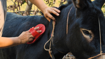 Similar image 21783434