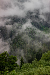 Similar image 21785299