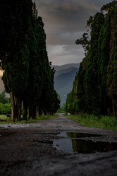 Similar image 21785300