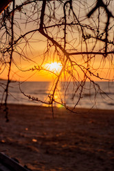 Similar image 21785305