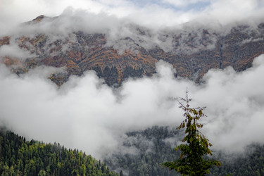 Similar image 21785306