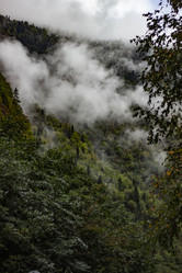 Similar image 21785310