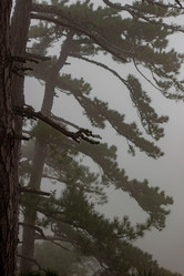 Similar image 21785314