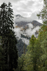 Similar image 21785315