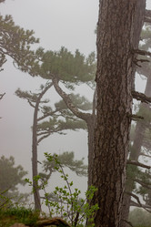 Similar image 21785316