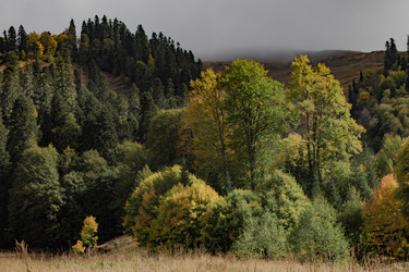 Similar image 21785317