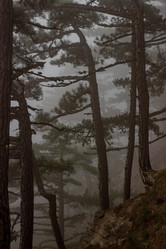 Similar image 21785318