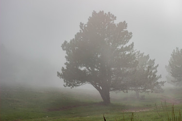 Similar image 21785319