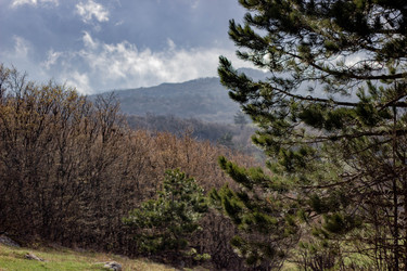 Similar image 21785321