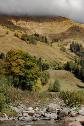 Similar image 21785323