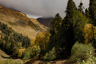 Similar image 21785327