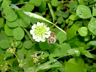 Similar image 21782351