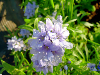 Similar image 21782352