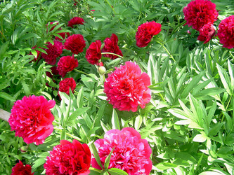 Similar image 21782353