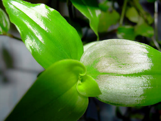 Similar image 21782354