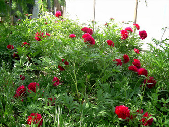 Similar image 21782355