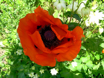 Similar image 21782357