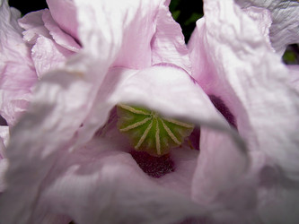 Similar image 21782358