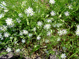 Similar image 21782359