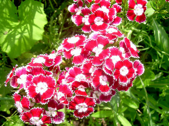 Similar image 21782360