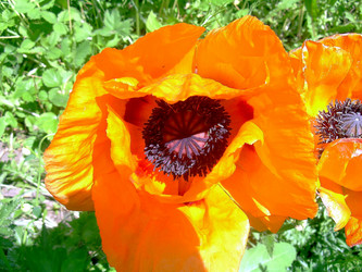 Similar image 21782361