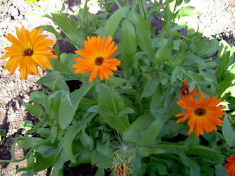 Similar image 21782363