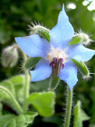 Similar image 21782364