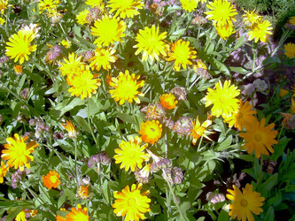 Similar image 21782365