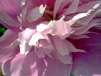 Similar image 21782366