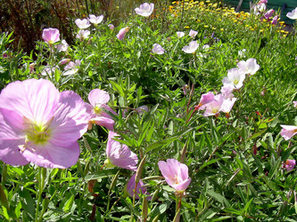 Similar image 21782367