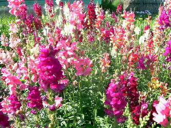 Similar image 21782369