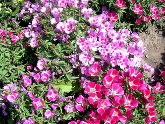 Similar image 21782371