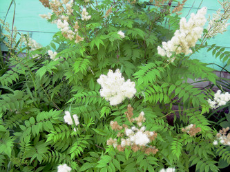 Similar image 21782372